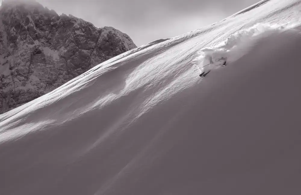 High performance alpine skis